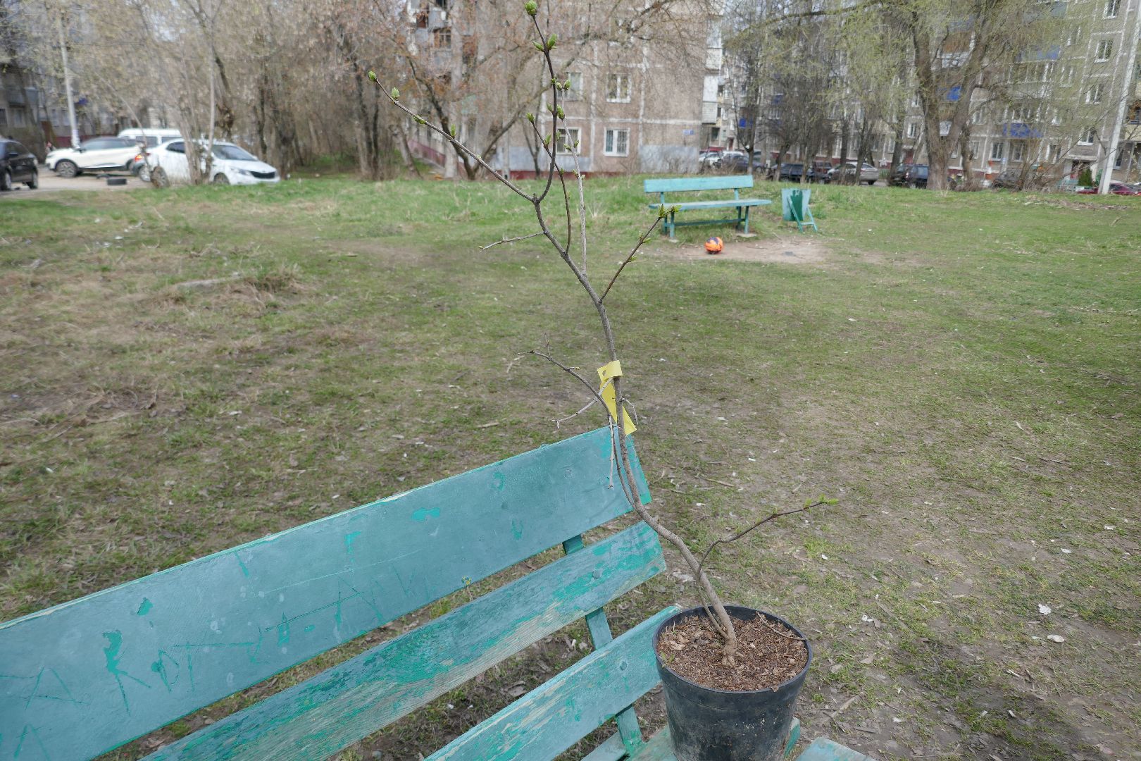 Подольск, благоустройство, субботник, двор