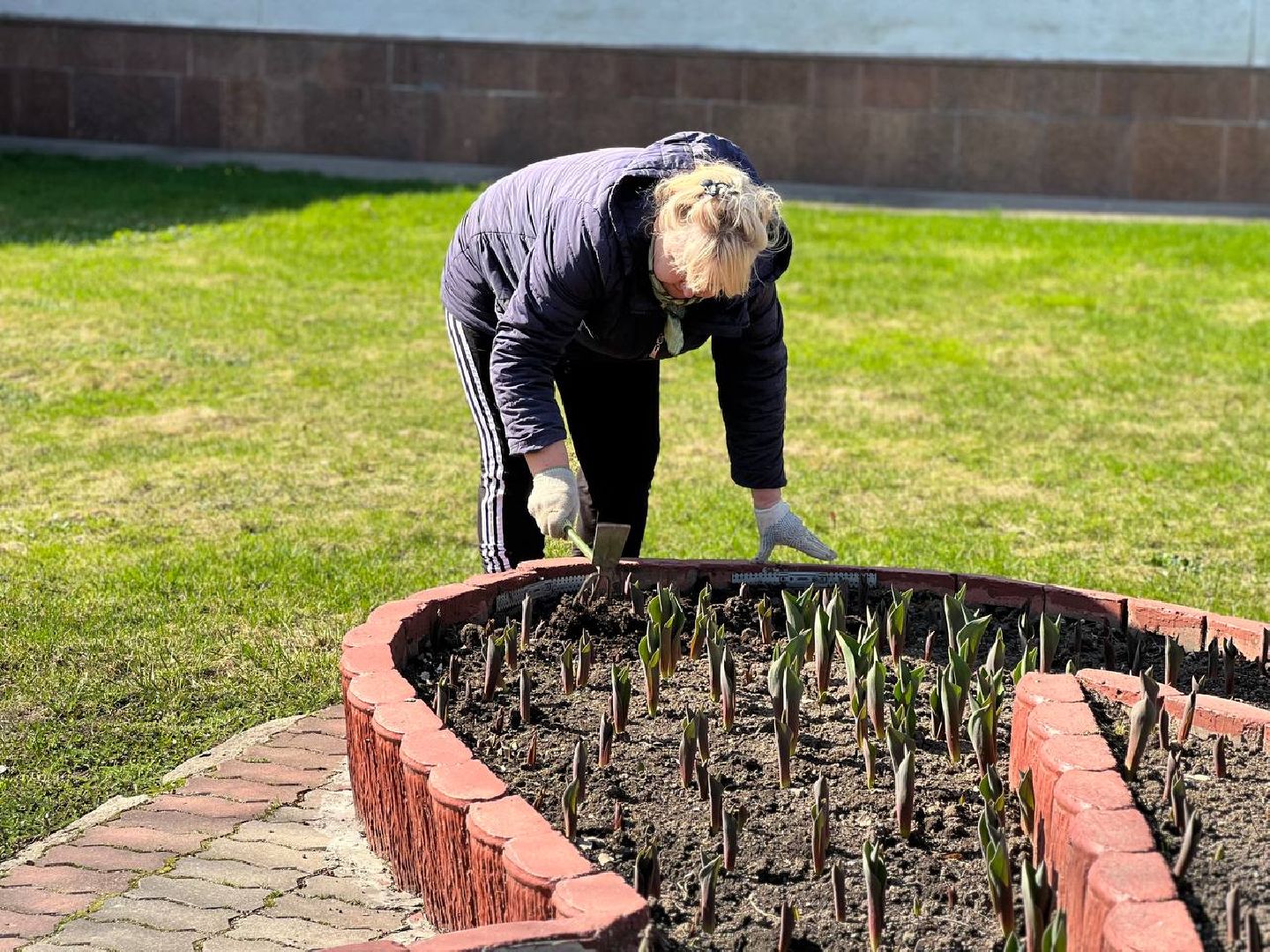 Подольск, цветы,клумбы, озеленение