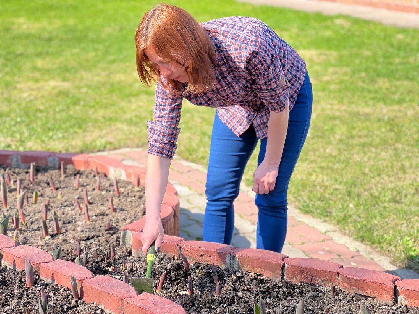 Подольск, цветы,клумбы, озеленение