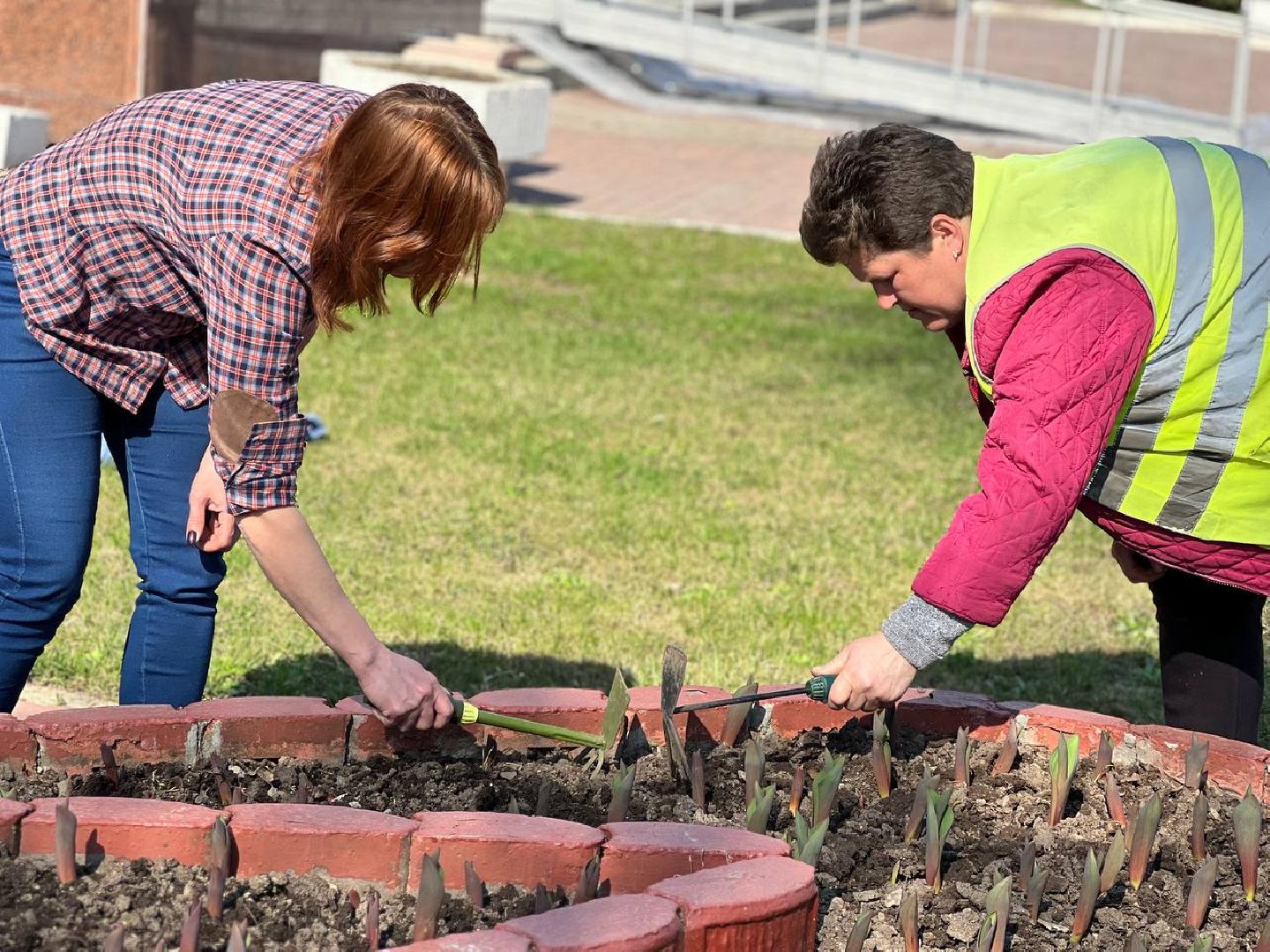 Подольск, цветы,клумбы, озеленение