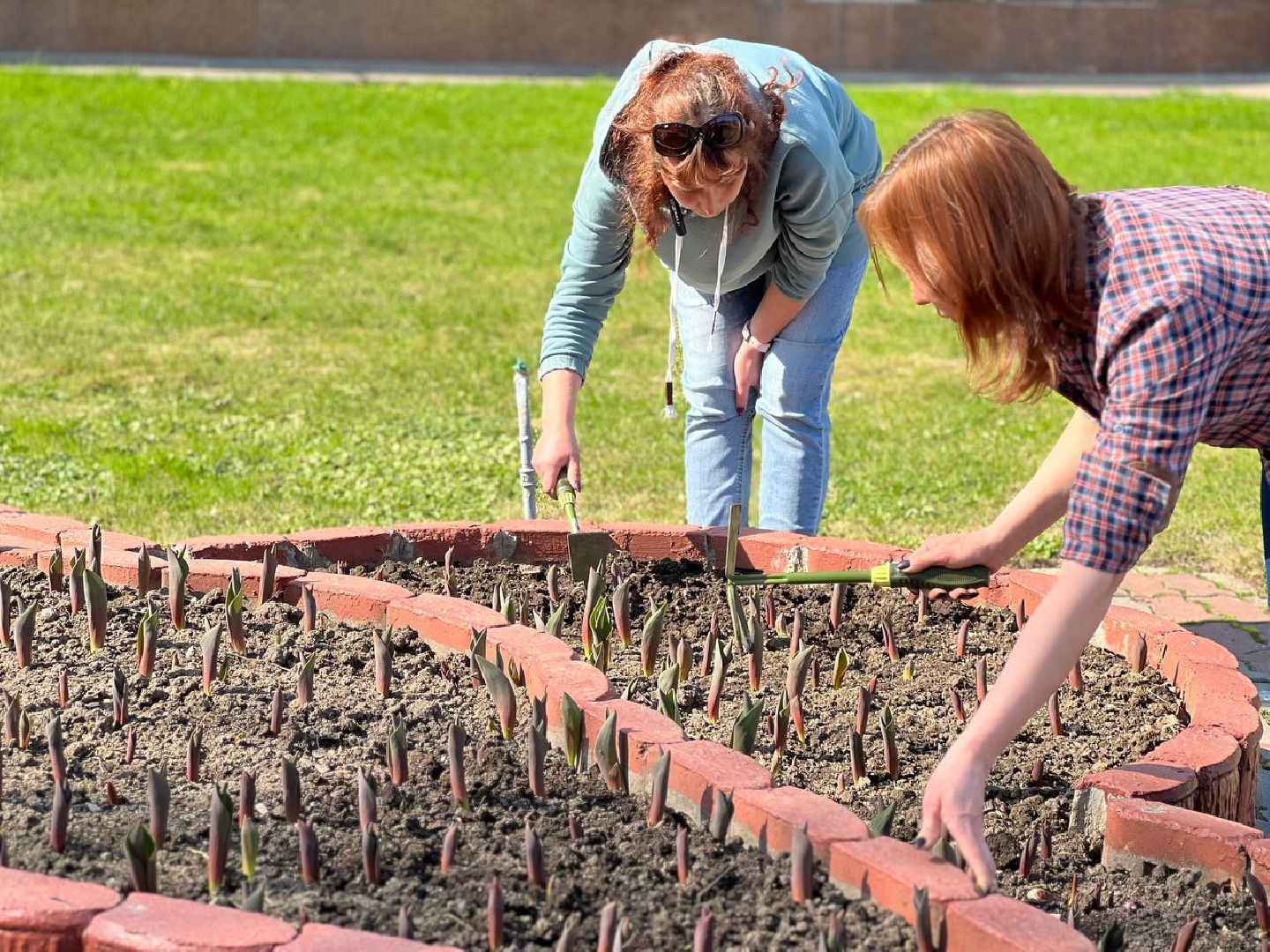 Подольск, цветы,клумбы, озеленение