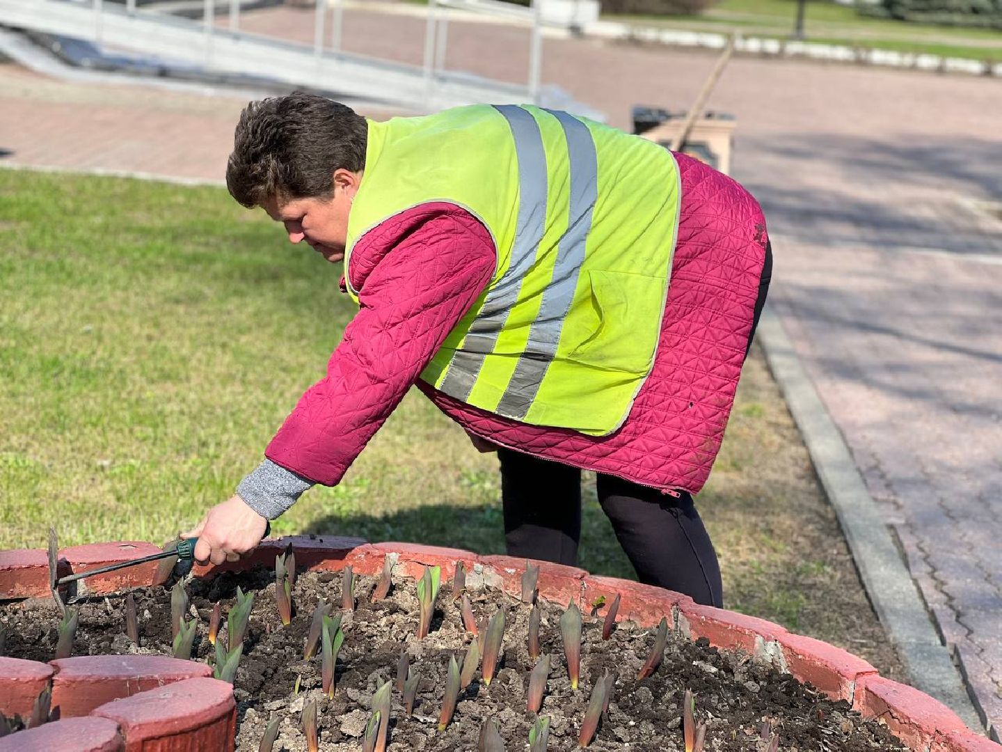 Подольск, цветы,клумбы, озеленение