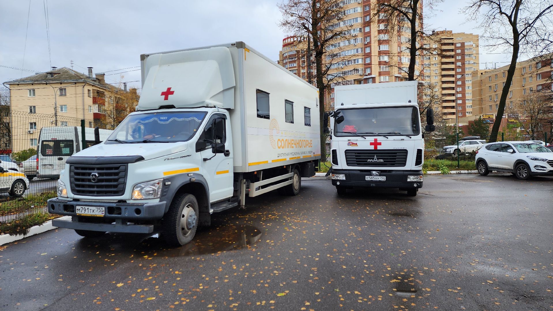 Солнечногорск, медицина, выездная диспансеризация, налоговая служба,