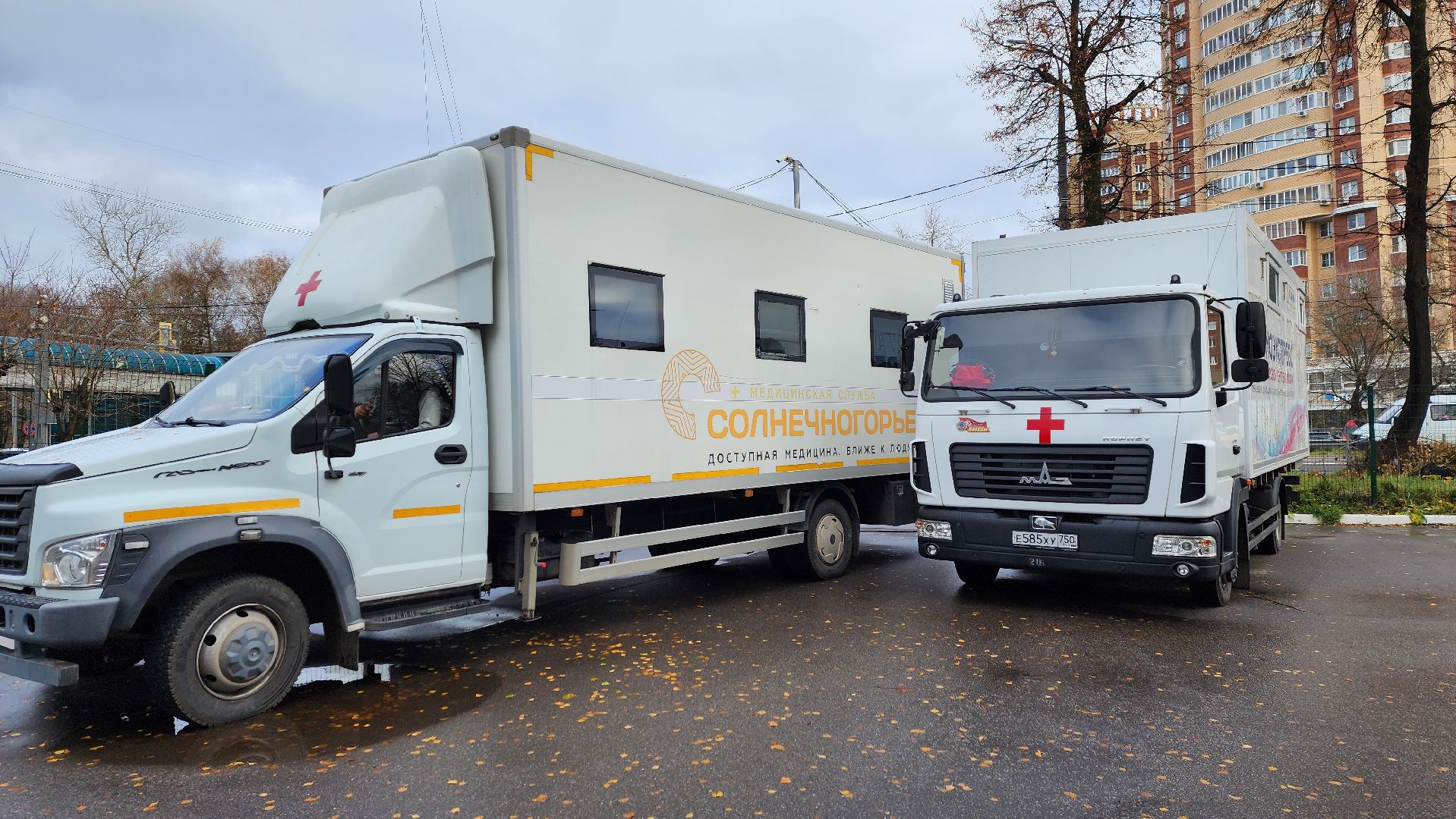Солнечногорск, медицина, выездная диспансеризация, налоговая служба,