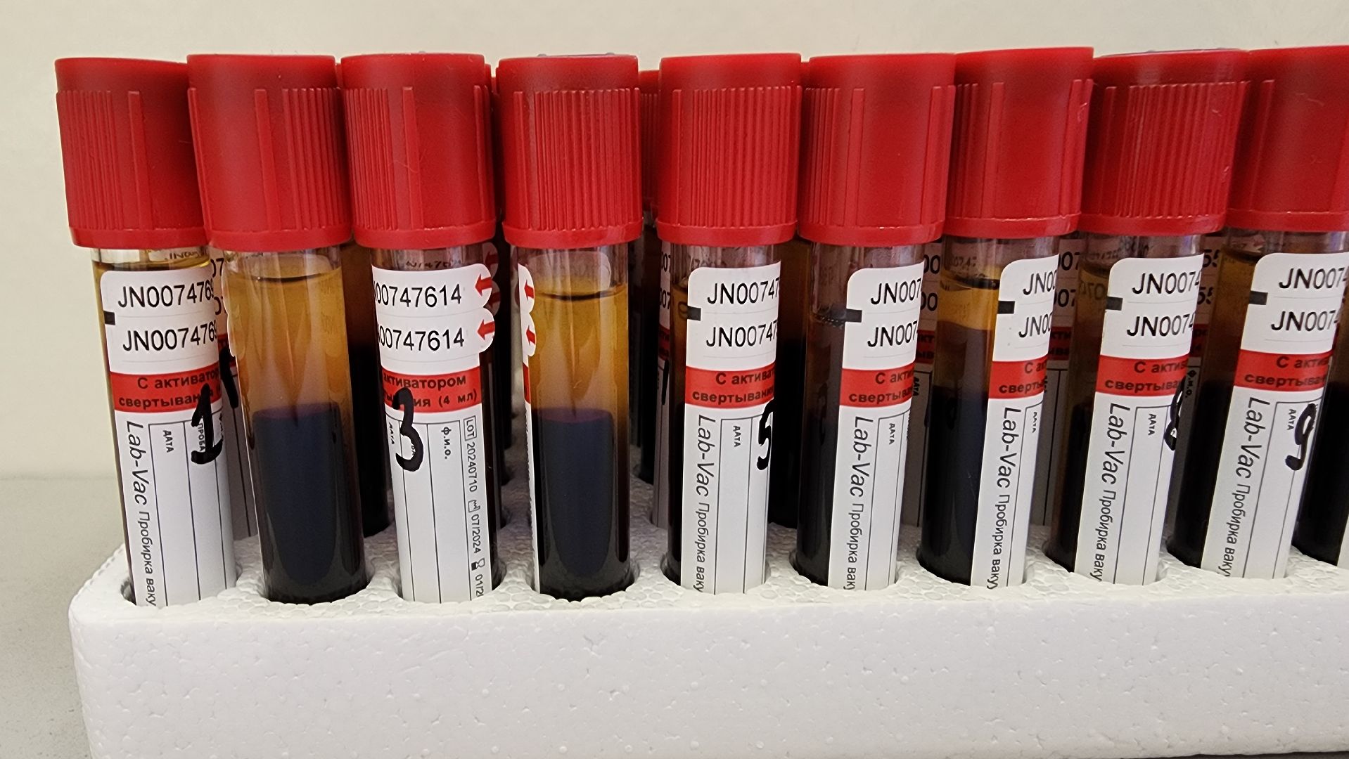 Солнечногорск, медицина, выездная диспансеризация, налоговая служба,