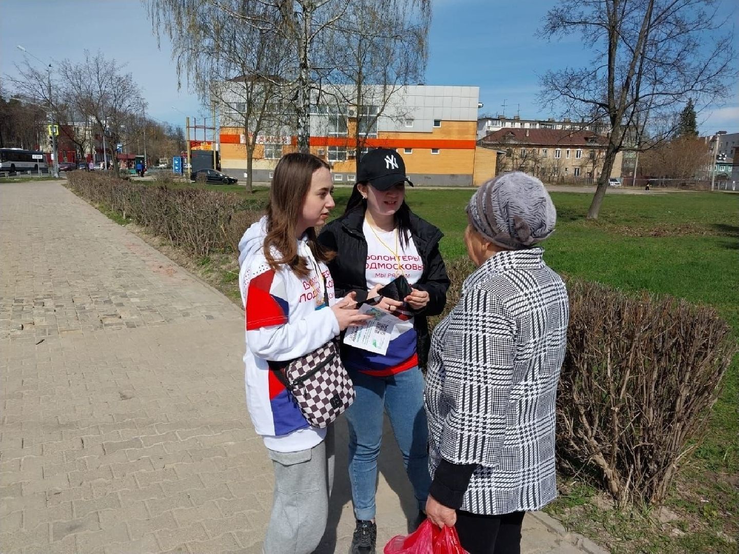 Волонтеры, благоустройство, голосование, Орехово-Зуево