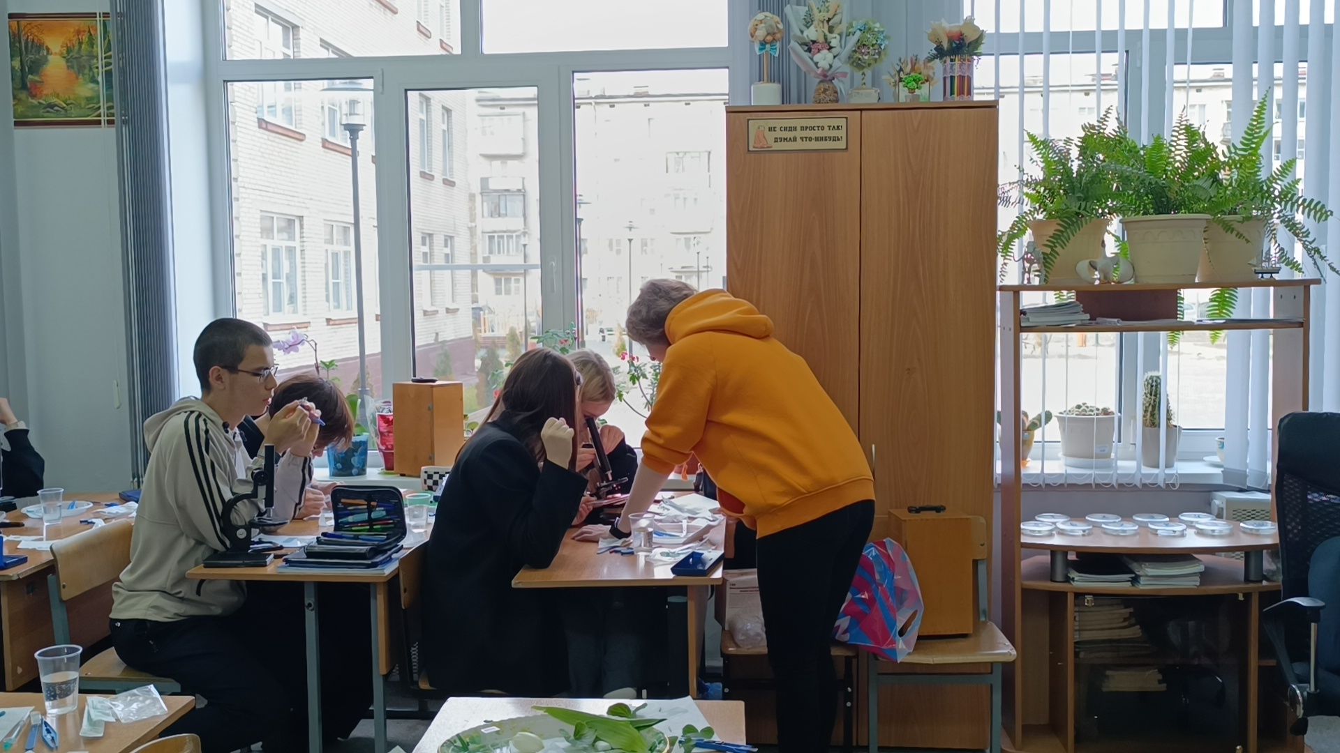 биология, школа, лобня, Фонд сохранения наследия Менделеева,