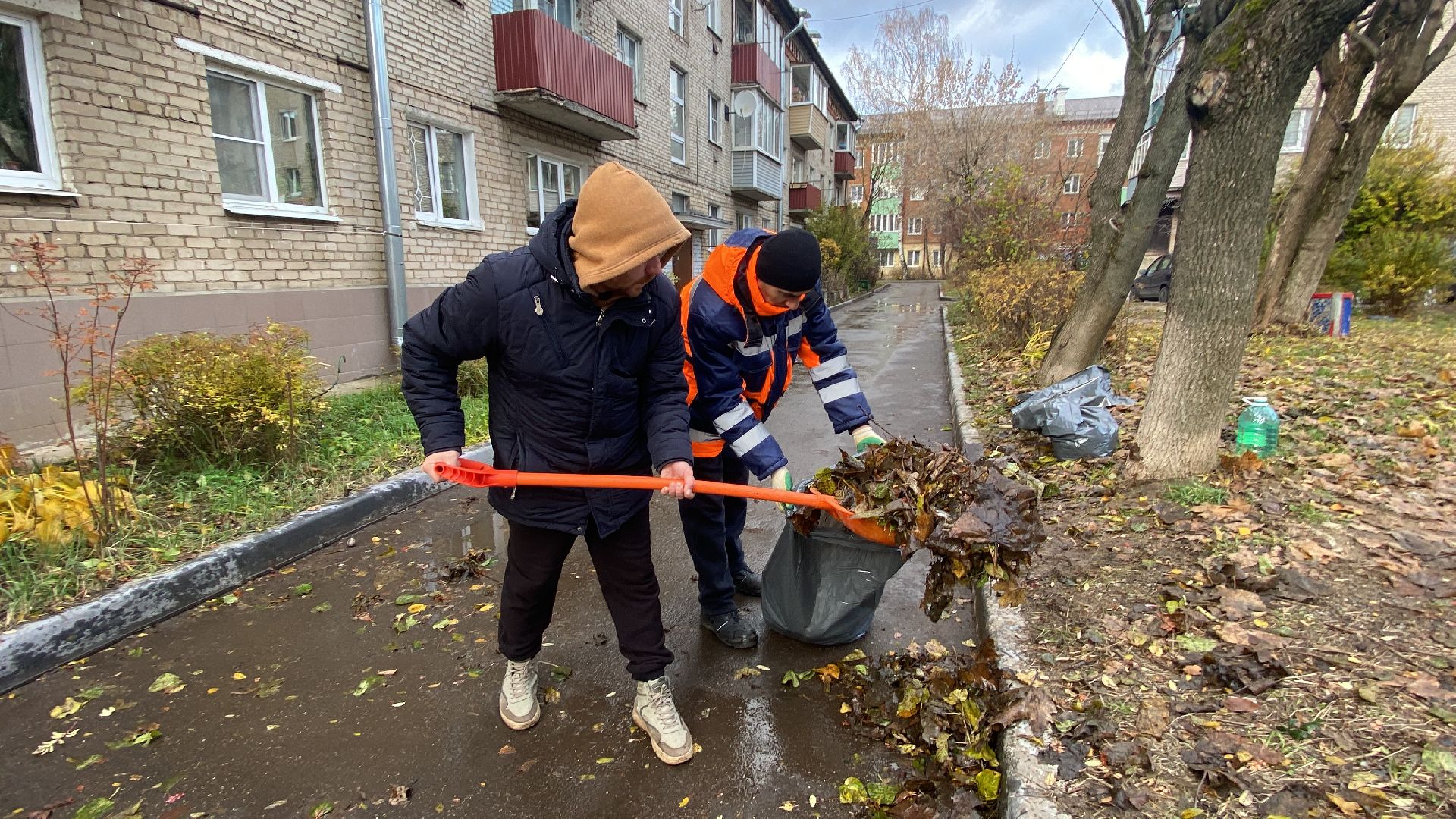 Листья, Уборка, Уборка листвы, вертикалка,