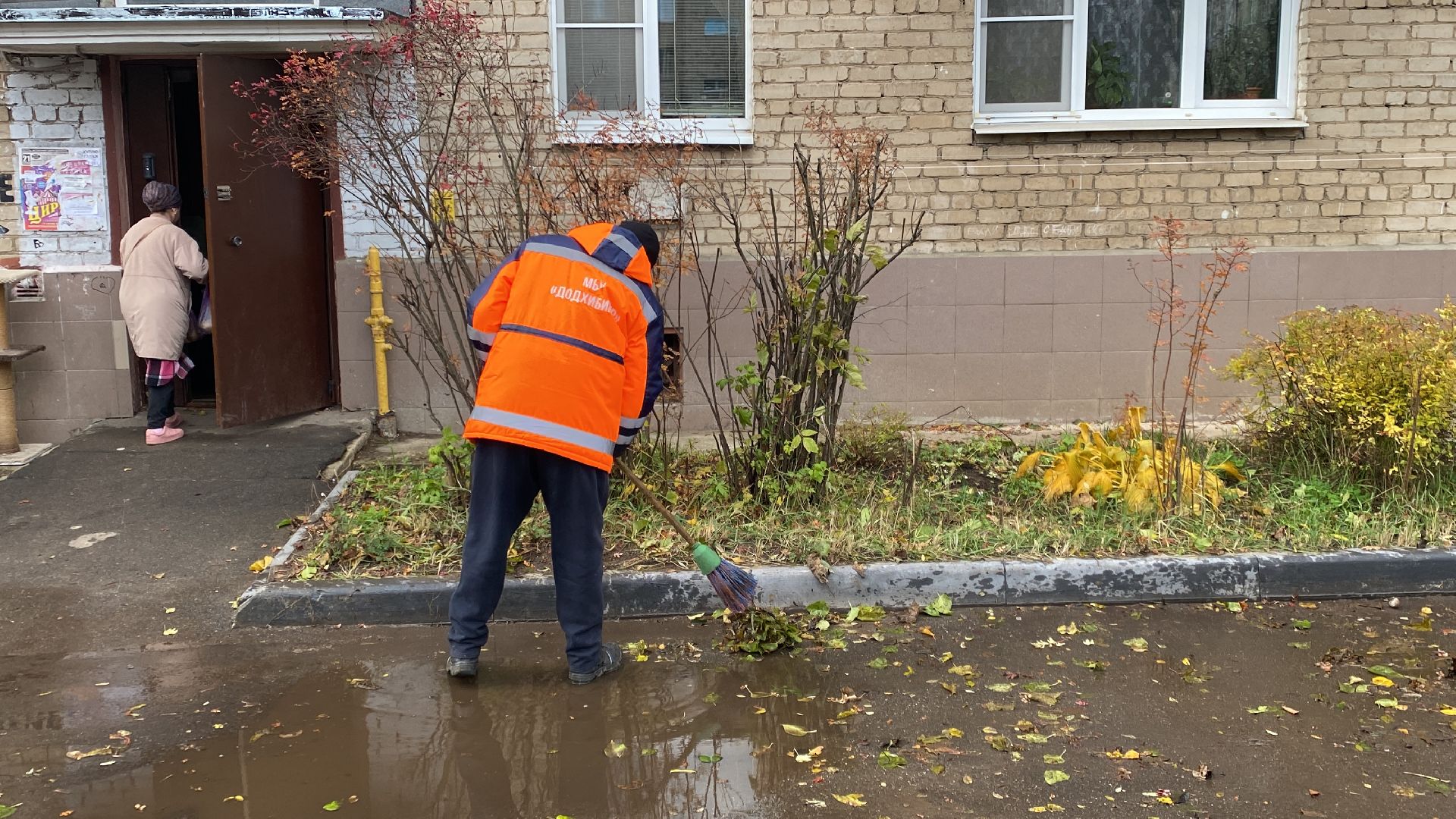 Листья, Уборка, Уборка листвы, вертикалка,