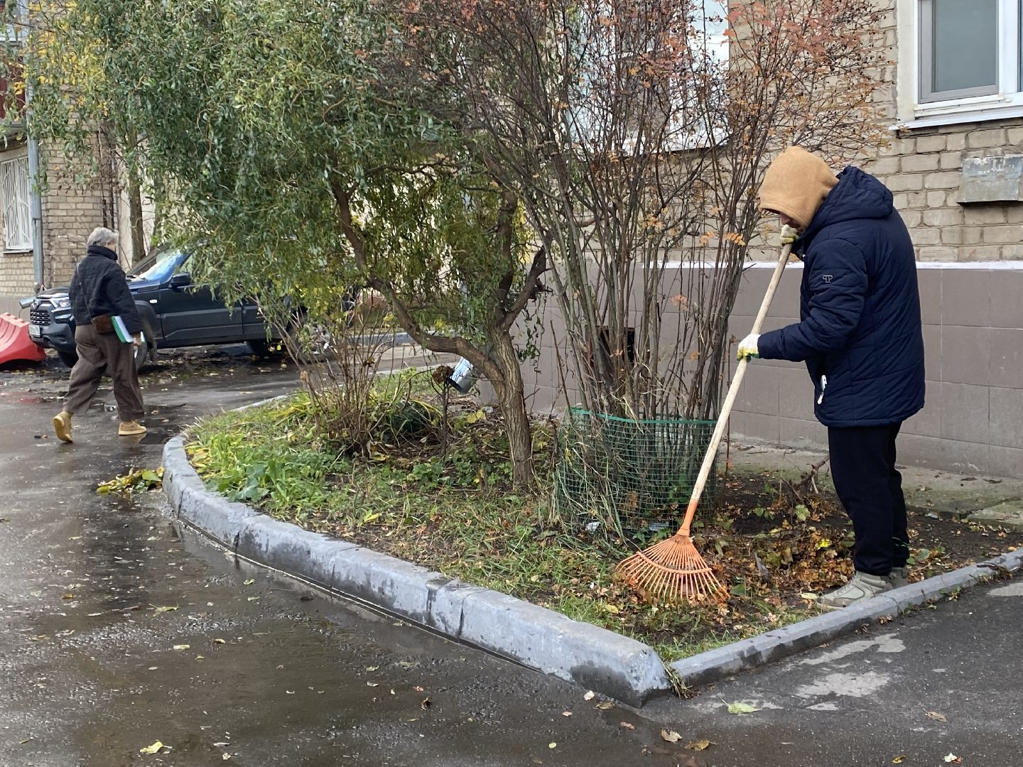 Листья, Уборка, Уборка листвы, вертикалка,