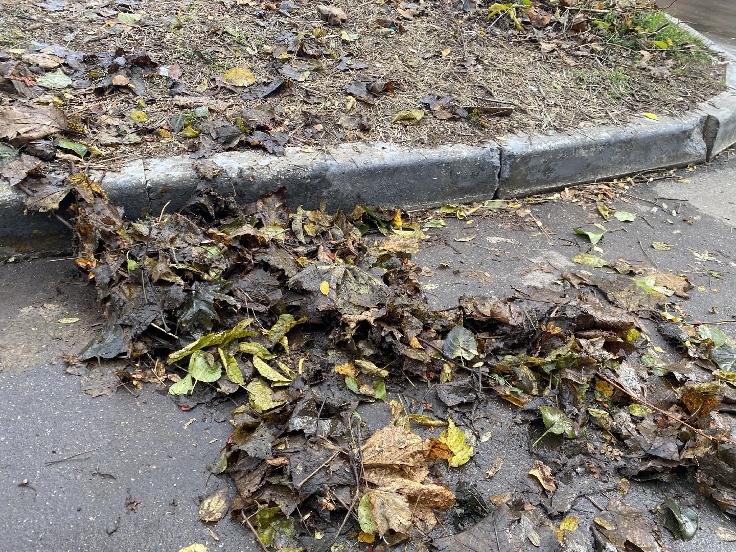 Листья, Уборка, Уборка листвы, вертикалка,