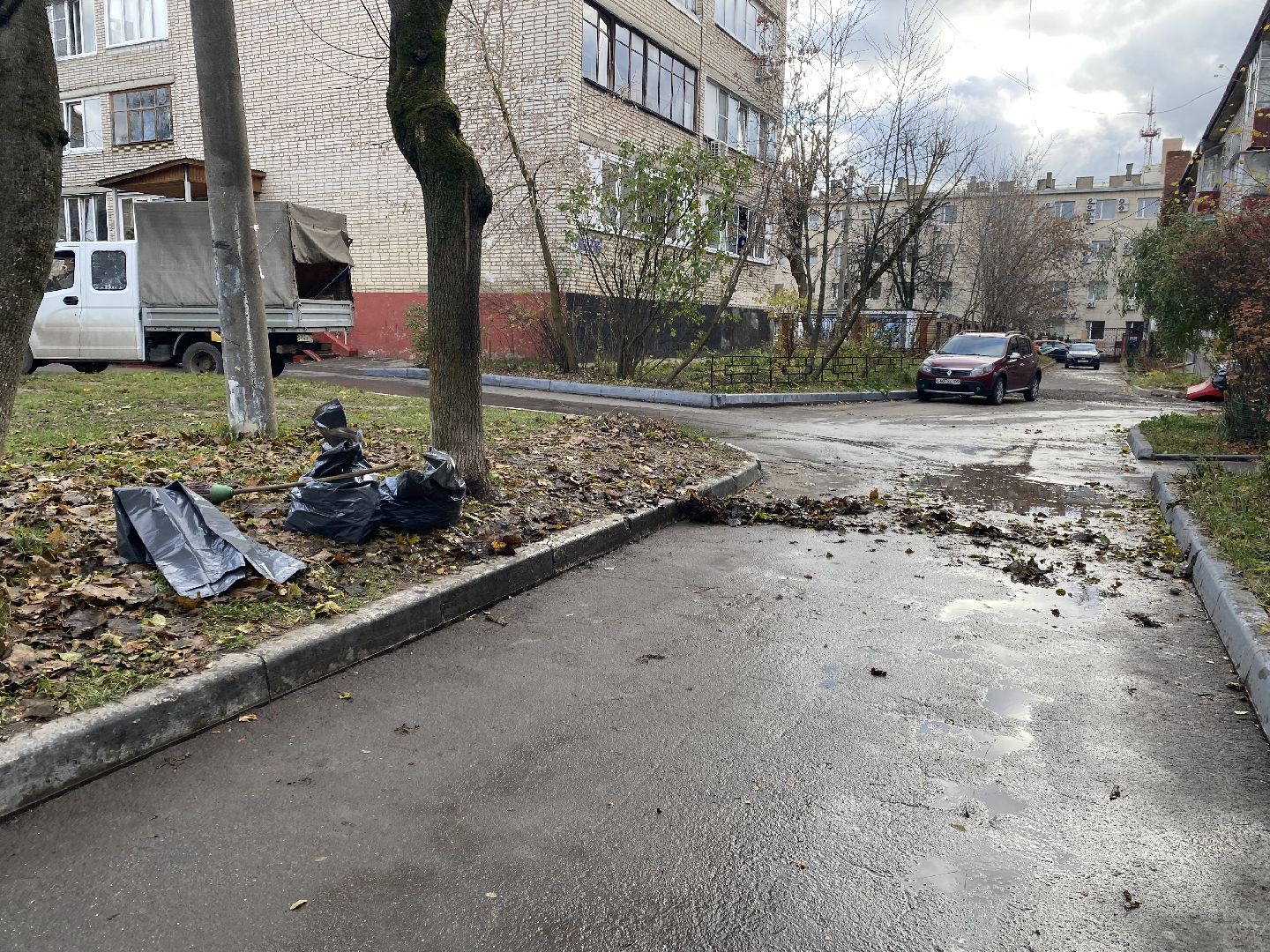 Листья, Уборка, Уборка листвы, вертикалка,