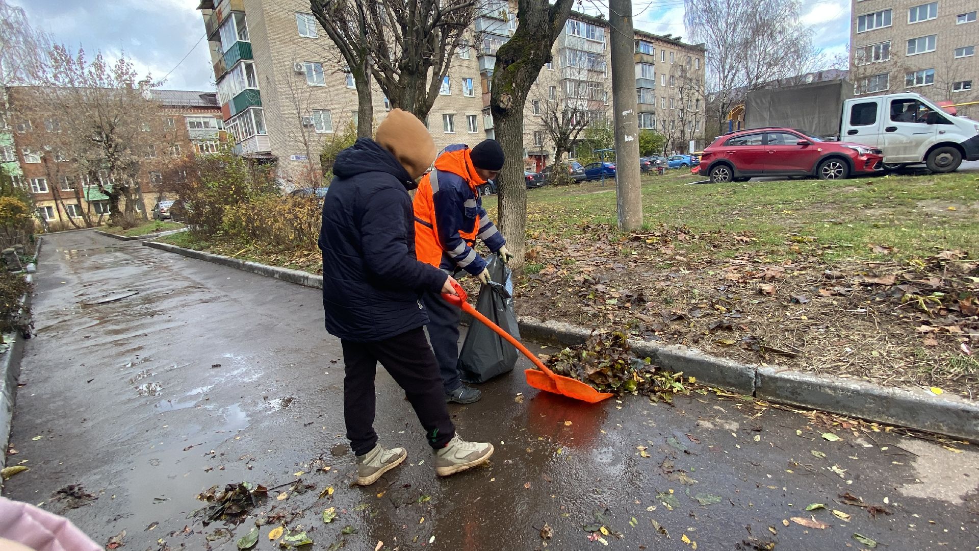 Листья, Уборка, Уборка листвы, вертикалка,
