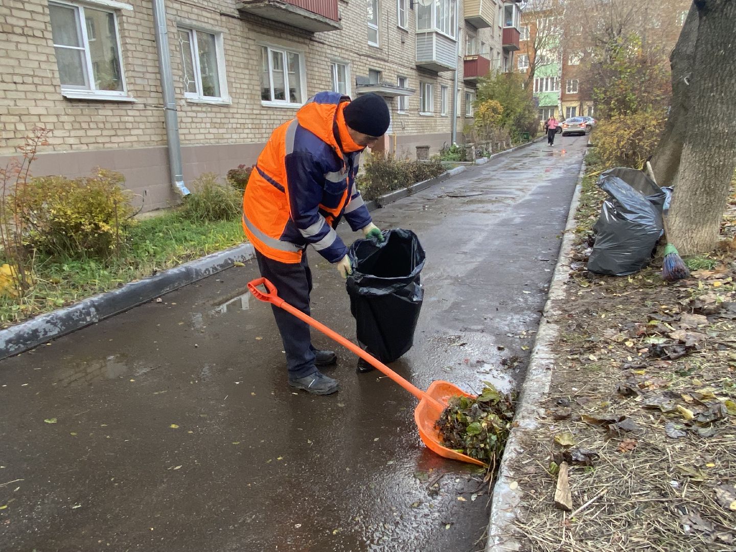 Листья, Уборка, Уборка листвы, вертикалка,