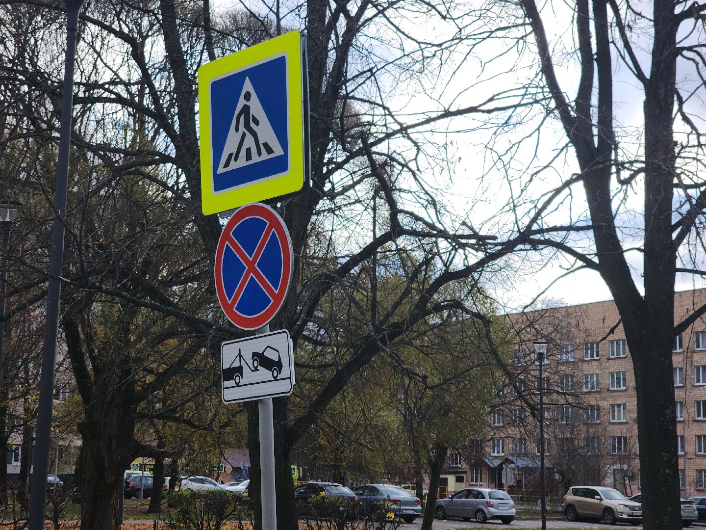 Черноголовка, Парковки, Пдд,