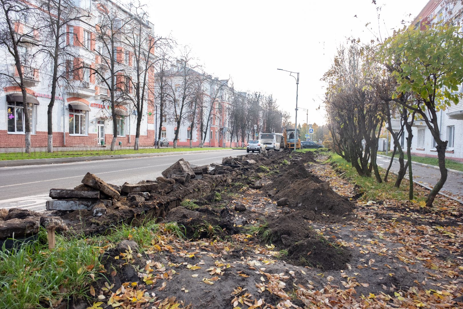 лыткарино, благоустройство, первомайская, вертикалка