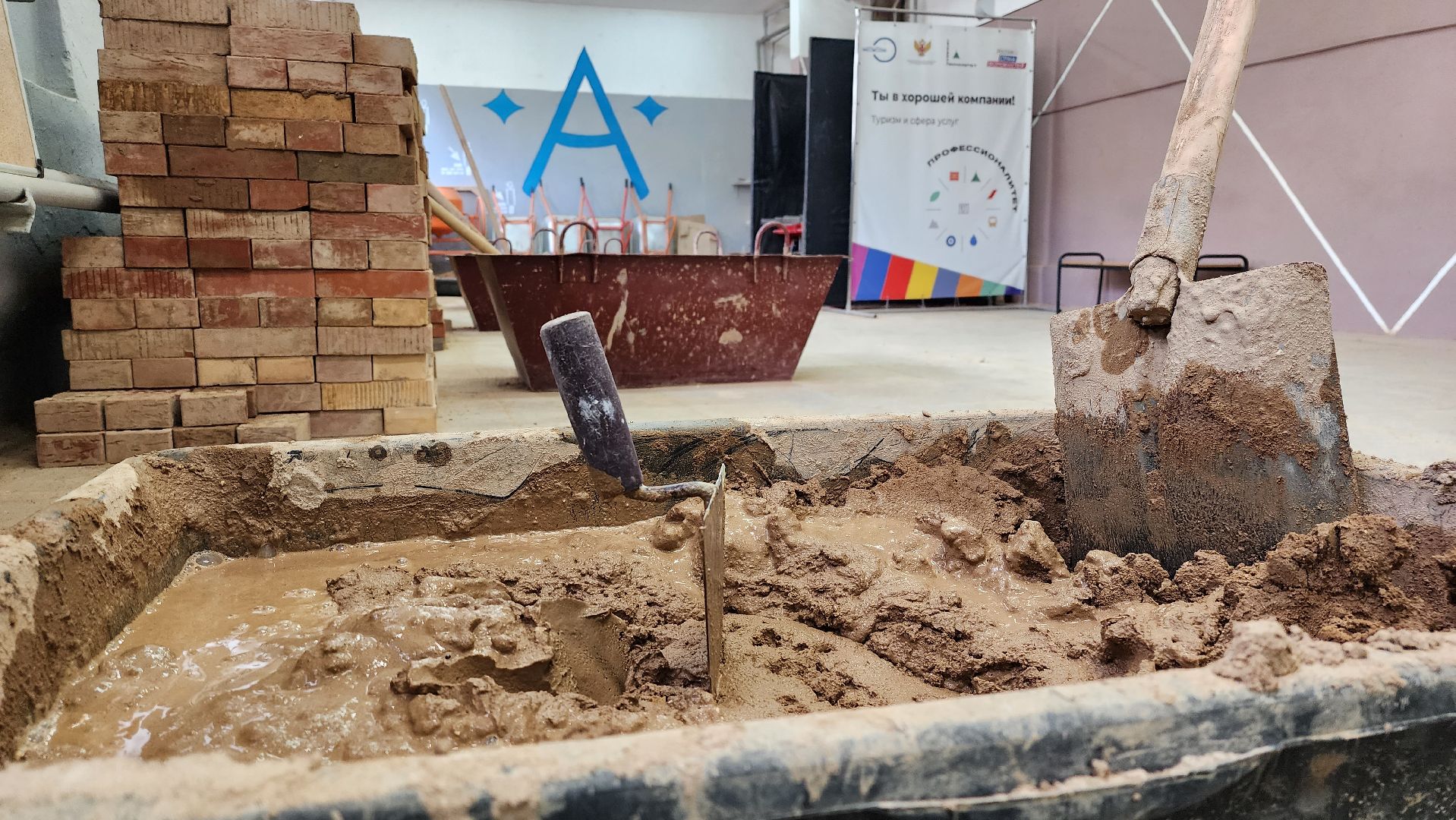 овз, колледж, профориентация, абилимпикс,