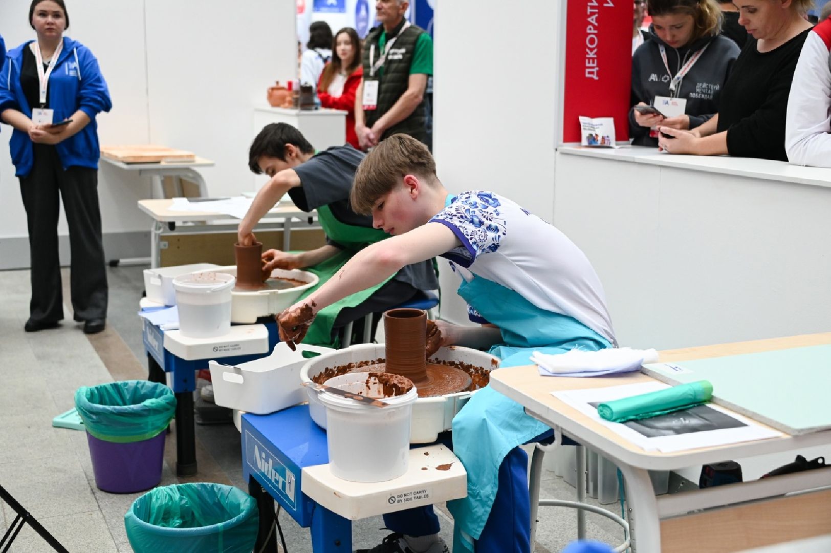 овз, колледж, профориентация, абилимпикс,