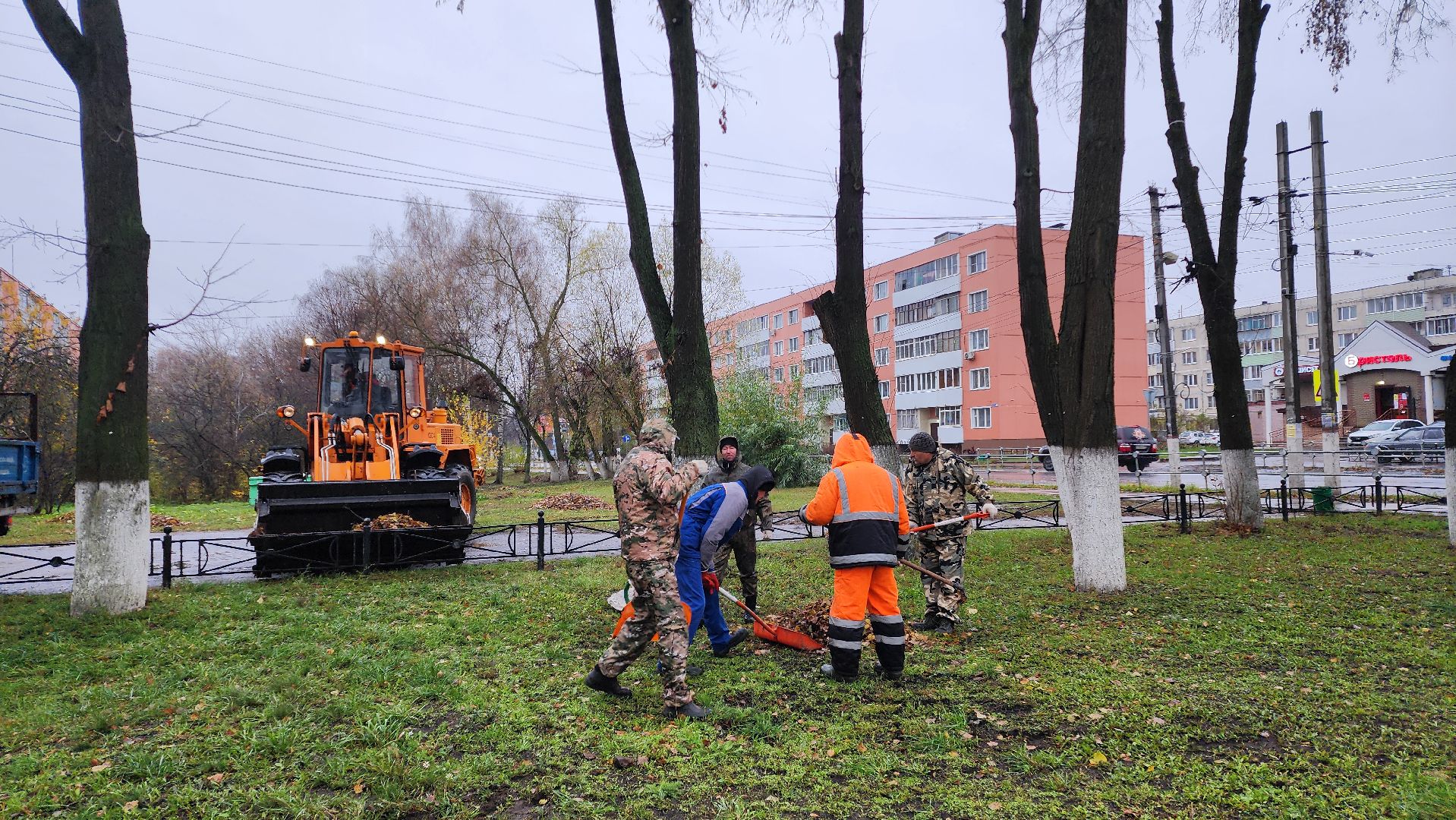 Бронницы, мбу благоустройство, Уборка листвы, Благоустройство улиц к зиме,Вертикалка, вертикальное видео,