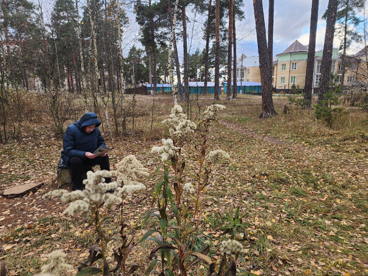 благоустройство, орехово зуево, Парковский лес,Вертикалка, вертикальное видео,