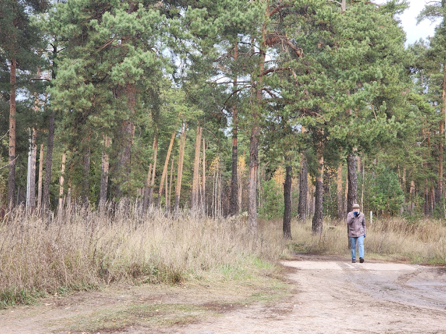 благоустройство, орехово зуево, Парковский лес,Вертикалка, вертикальное видео,