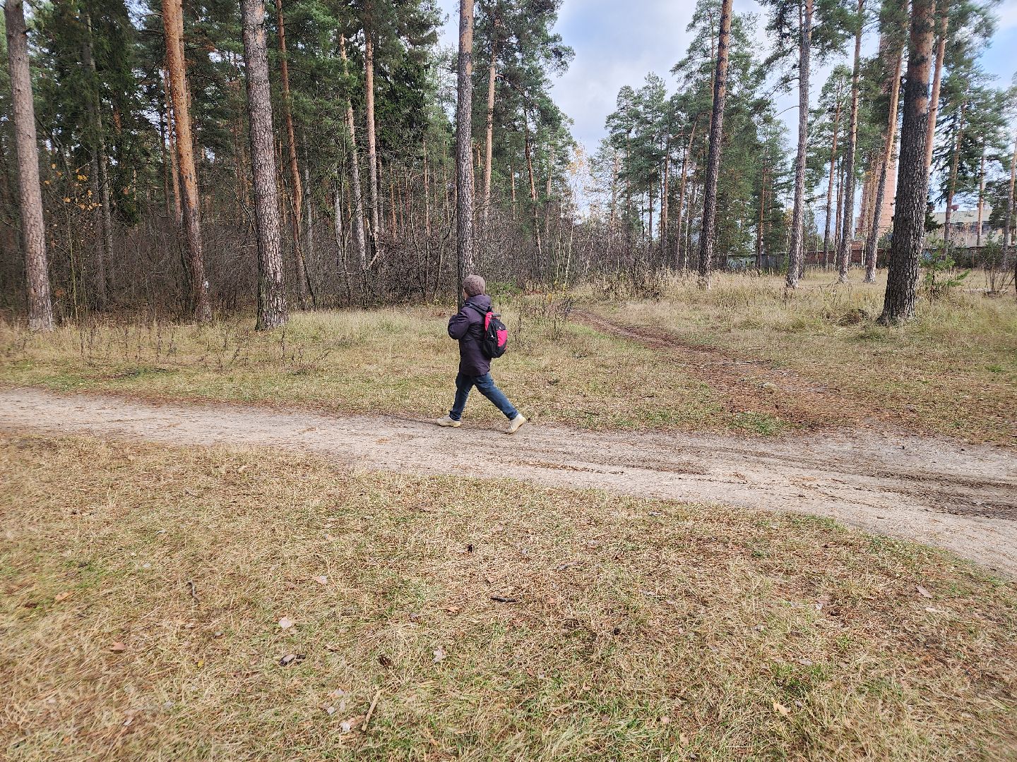 благоустройство, орехово зуево, Парковский лес,Вертикалка, вертикальное видео,