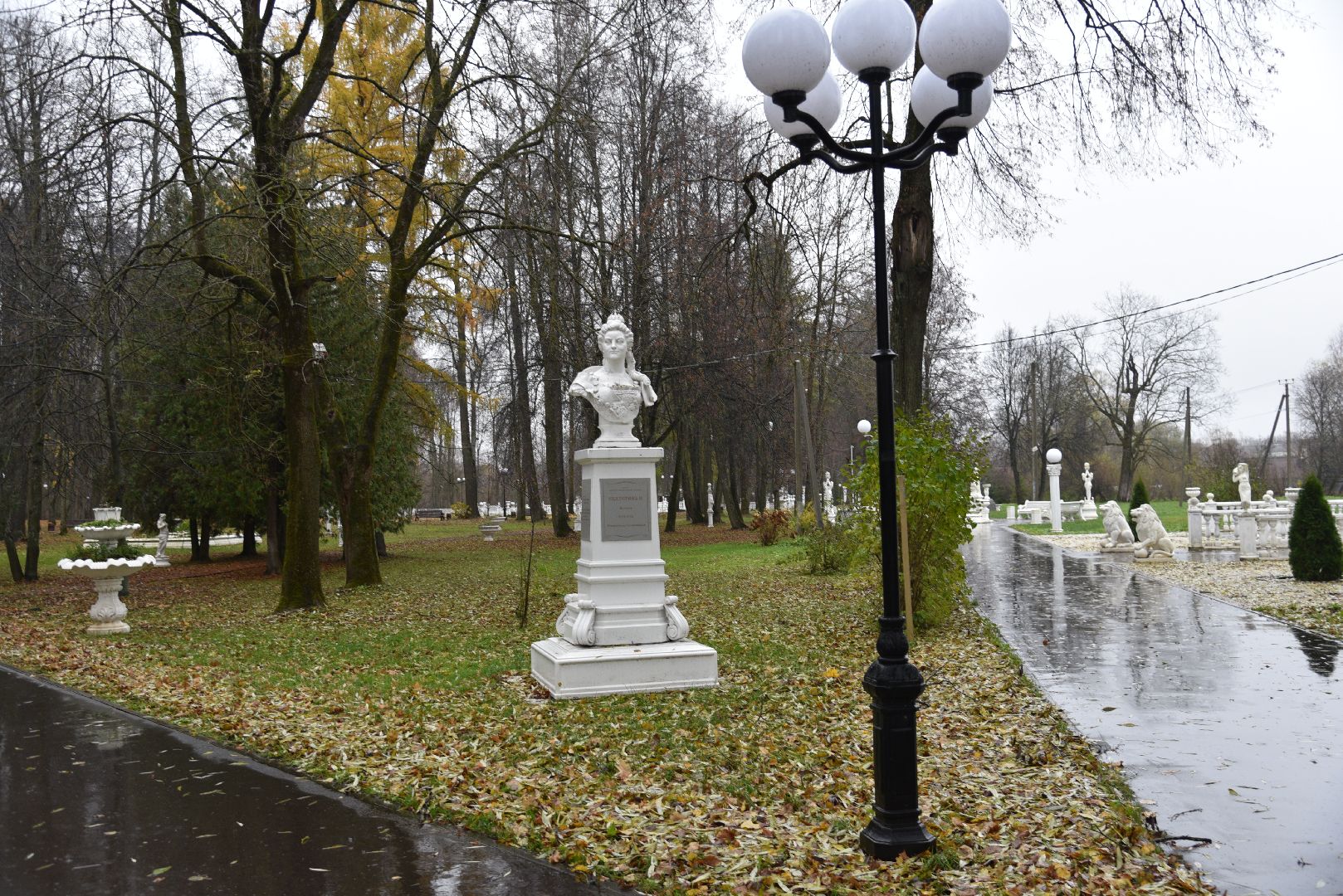 лотошино, лотошинский парк, лебеди, парки подмосковья, птицы подмосковья,