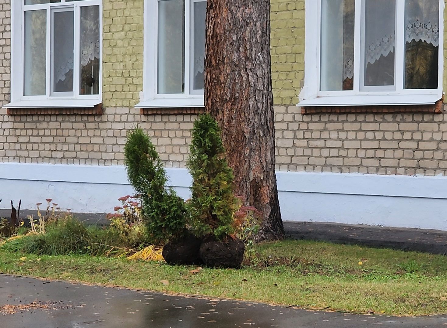 Дубна, Детский сад, Благоустройство, Депутаты, вертикалка,