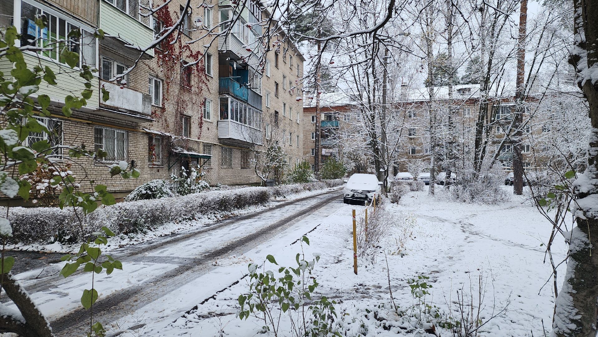 пушкино, первый снег, уборка снега, трактор, рабочие, лопаты, погода, вертикалки