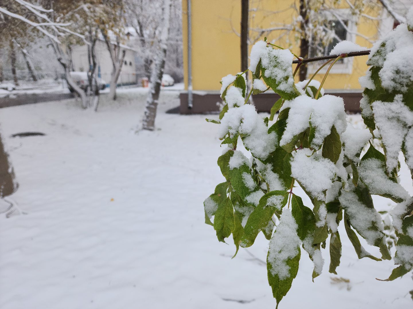 жкх, снег, уборка снега, коммунальная техника, вертикалка,