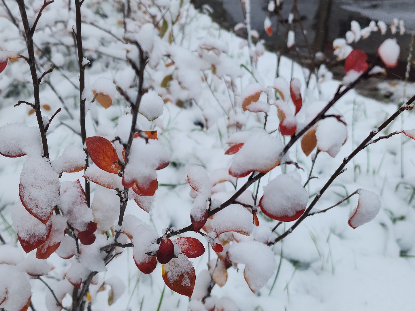 жкх, снег, уборка снега, коммунальная техника, вертикалка,