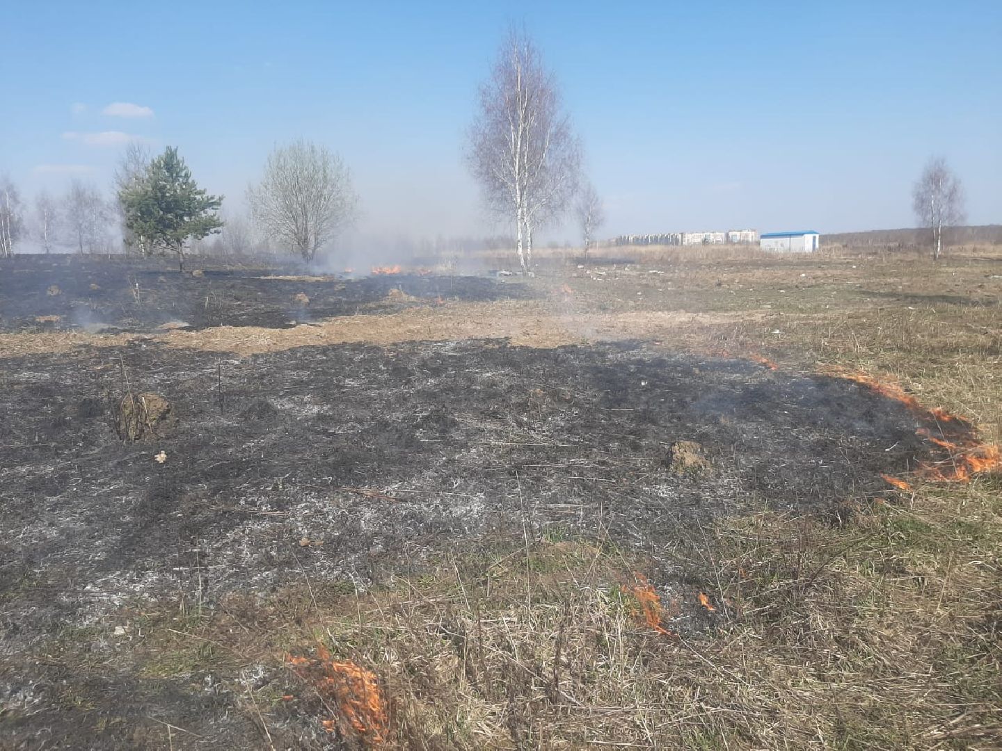 пол травы, Пожарные, опасность