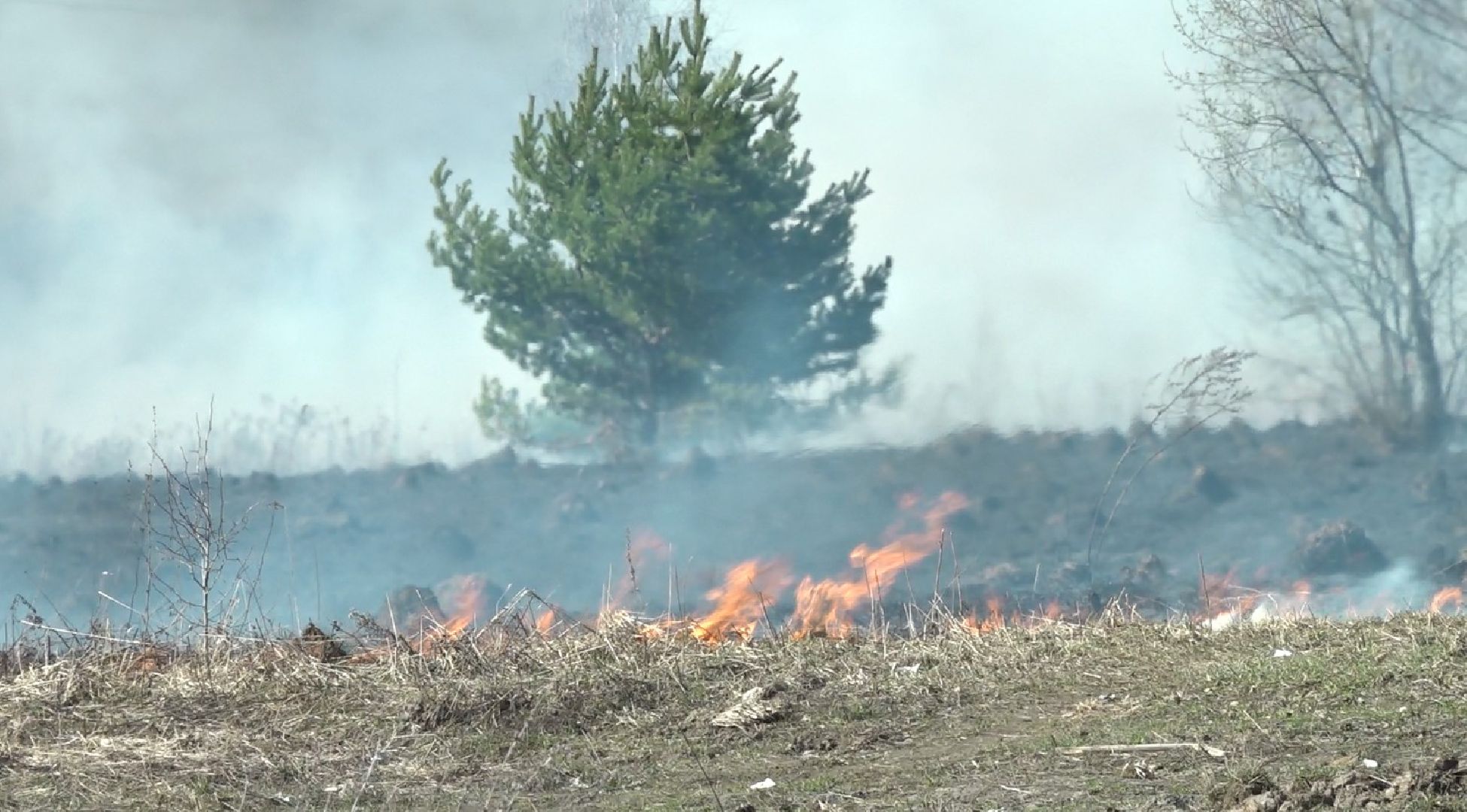 пол травы, Пожарные, опасность