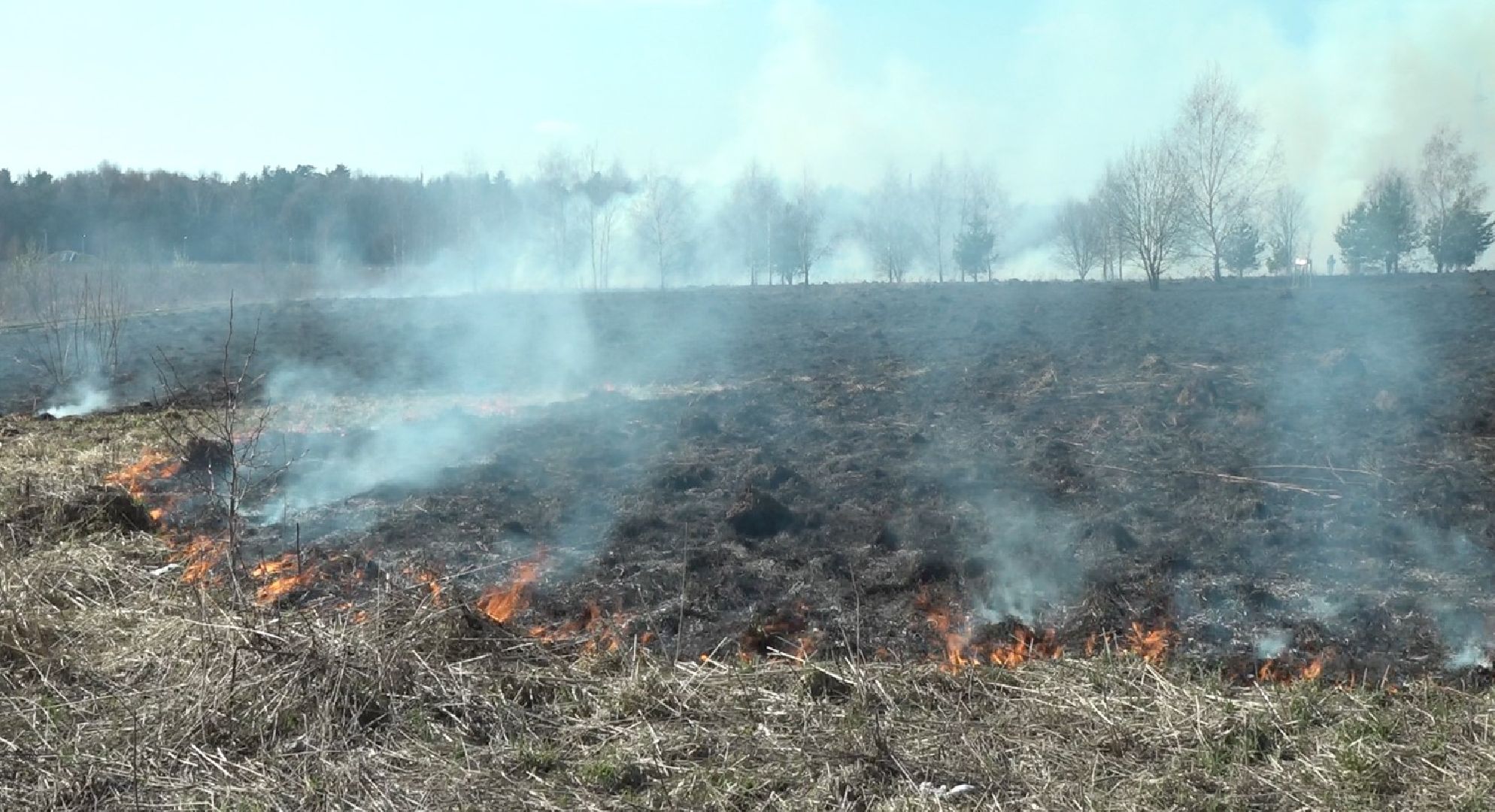 пол травы, Пожарные, опасность