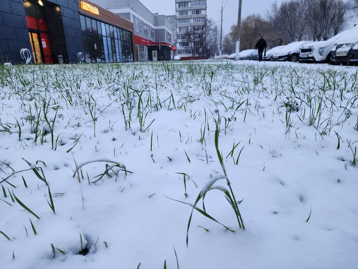 ногинск, снегопад, жители, общество, коммунальная служба, уборка снега, благосфера,вертикалкиЖКХ,