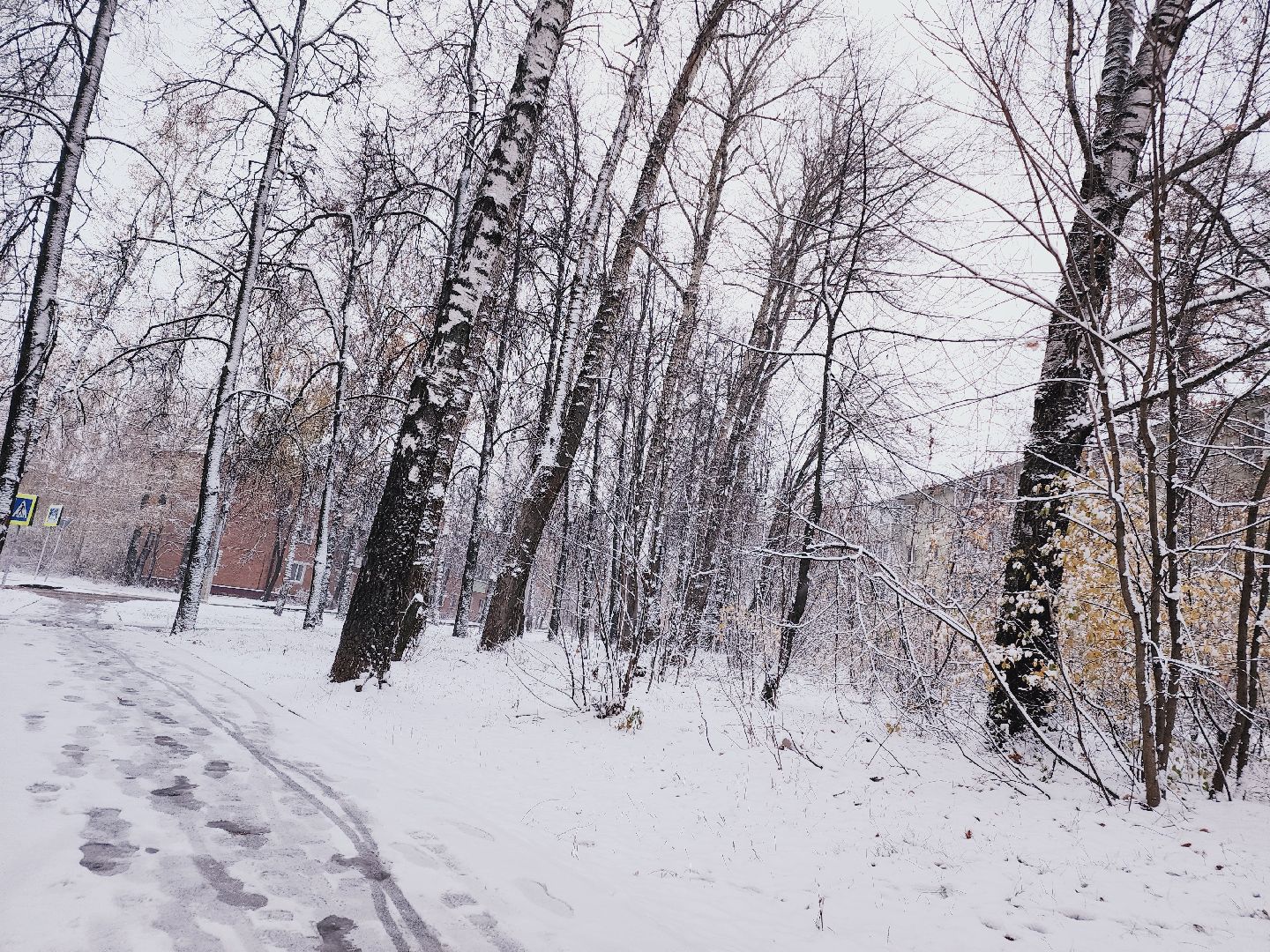Егорьевск, снег, благоустройство, Подмосковье, первый снег, Московская область,Вертикалки, Вертикальное видео,ЖКХ, Снегопад, Коммунальщики,