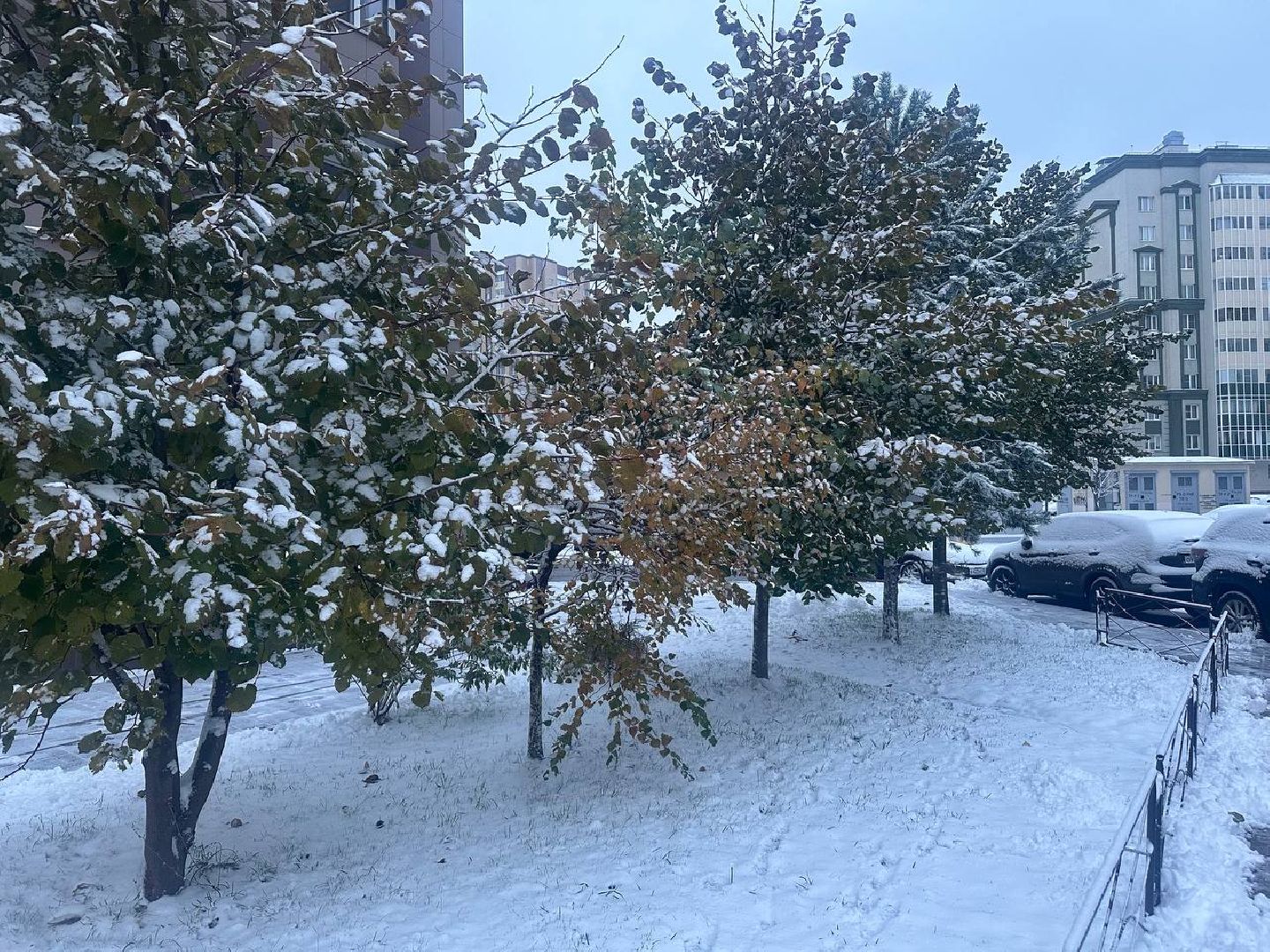 уборка снега, коммунальные службы, вертикалки,