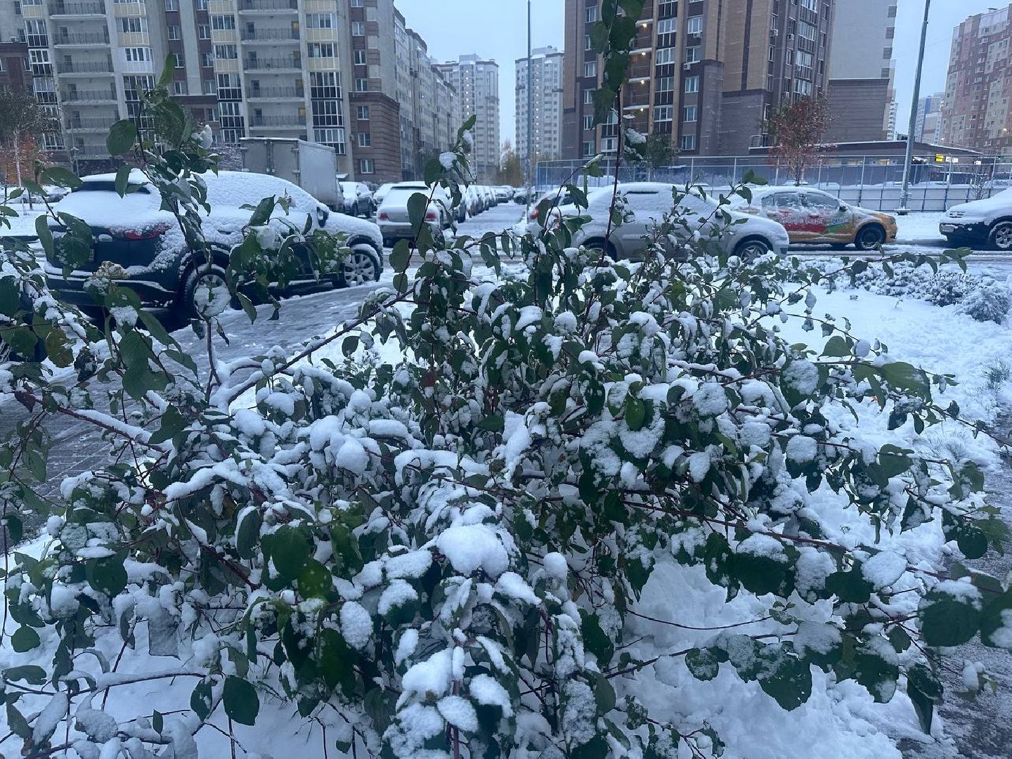 уборка снега, коммунальные службы, вертикалки,