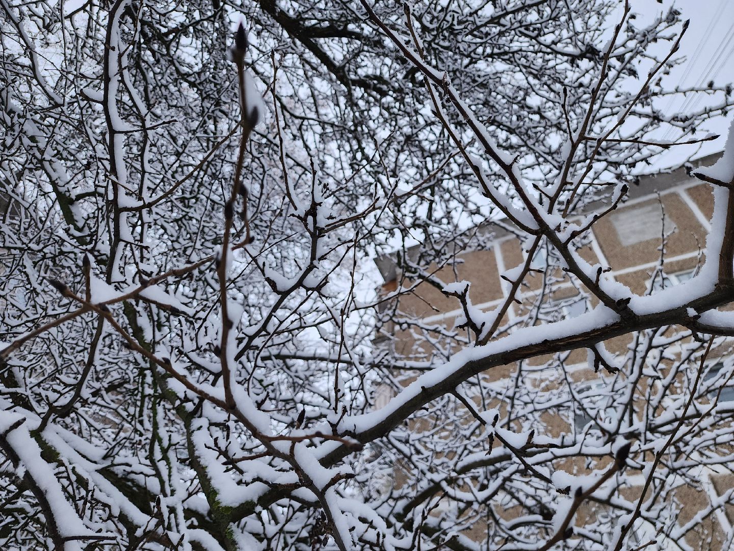Коломна, снегопад, уборка снега, вертикалка,