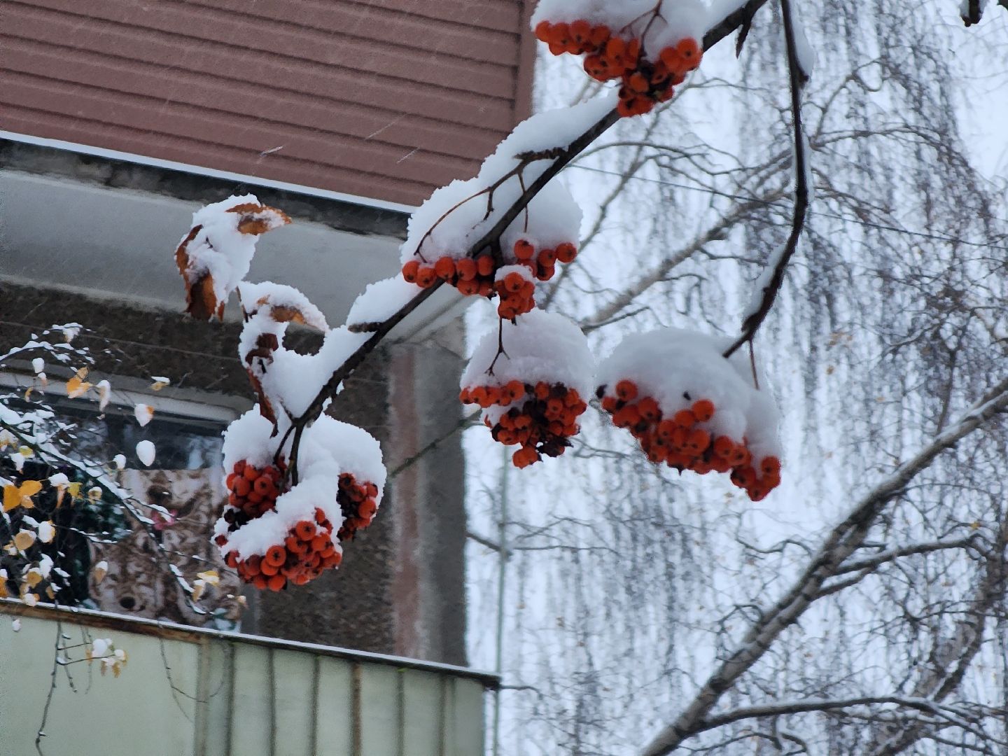Коломна, снегопад, уборка снега, вертикалка,