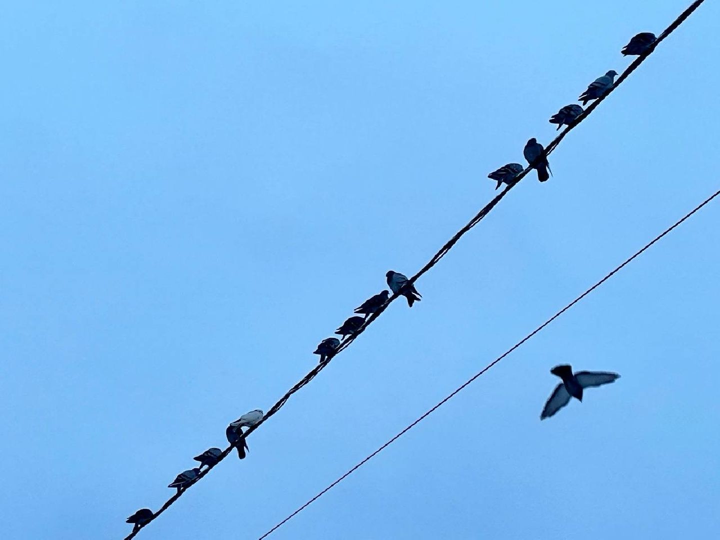Сергиев Посад, Коммунальные службы, ЖКХ, Сергиево-Посадский городской округ, Уборка снега, вертикалка