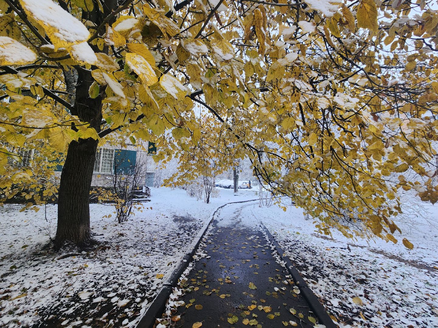 вертикалки, убирают снег,