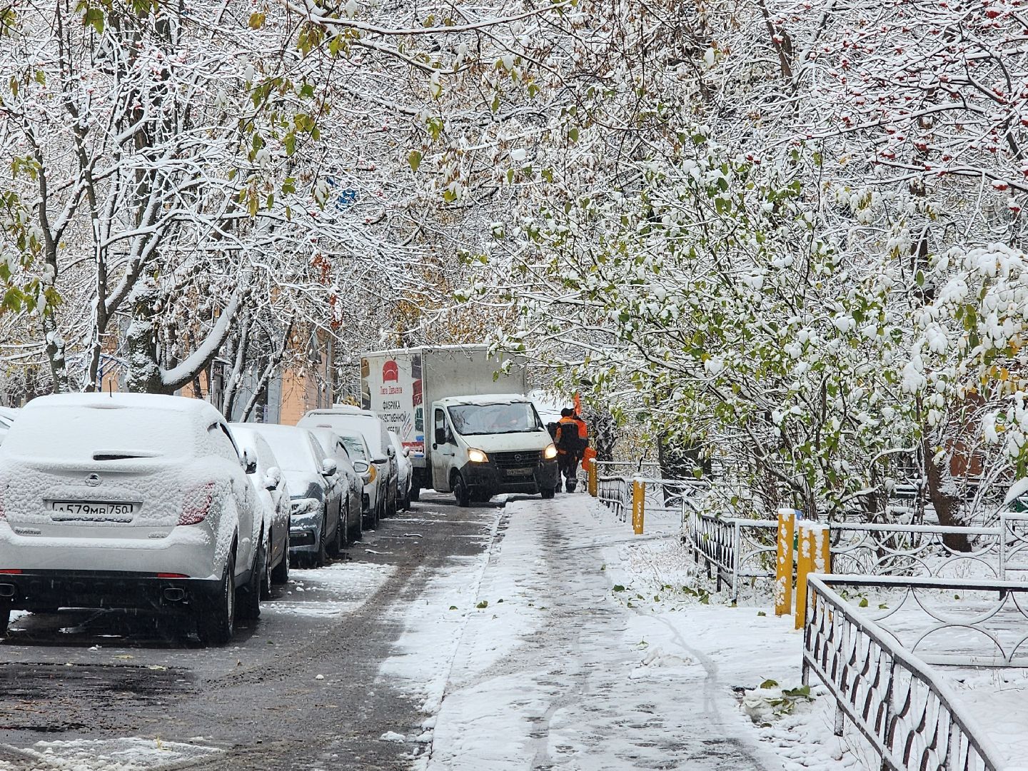 вертикалки, убирают снег,