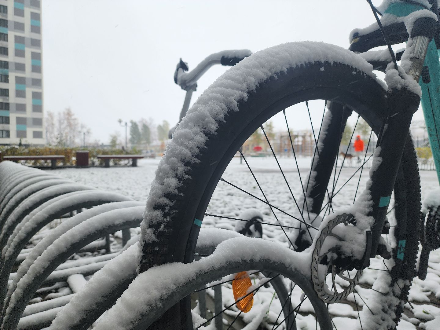 вертикалки, убирают снег,