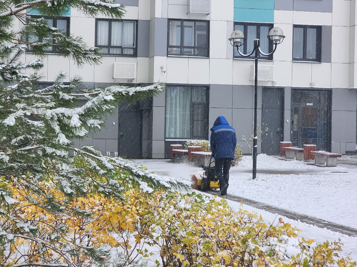 вертикалки, убирают снег,