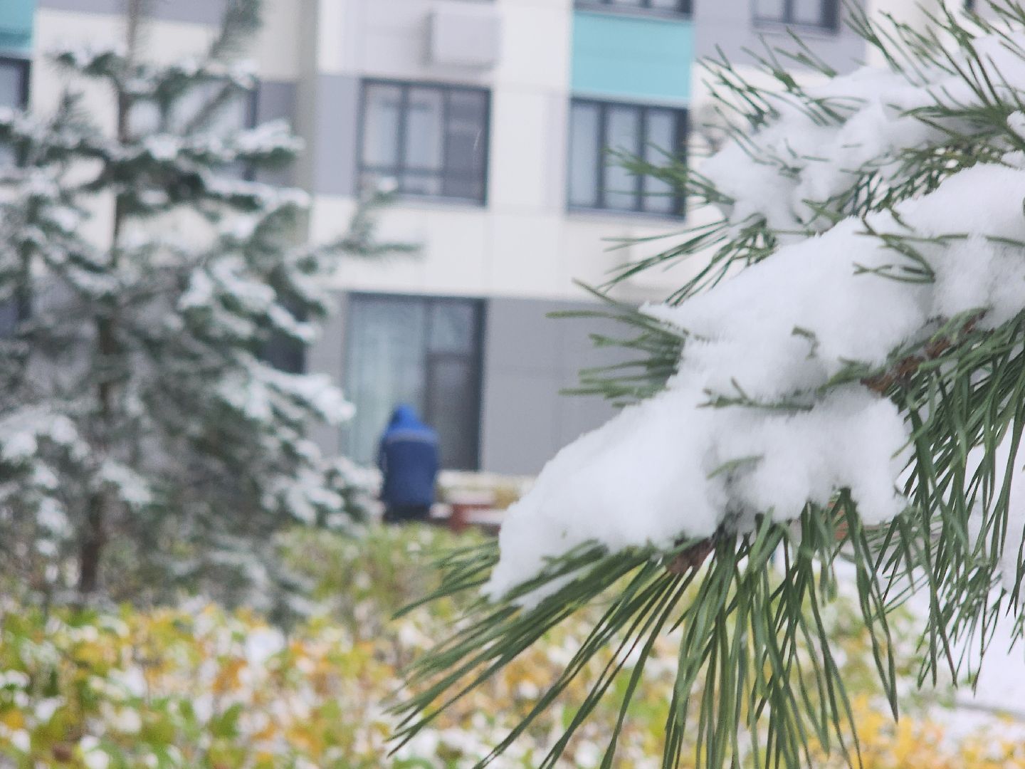 вертикалки, убирают снег,