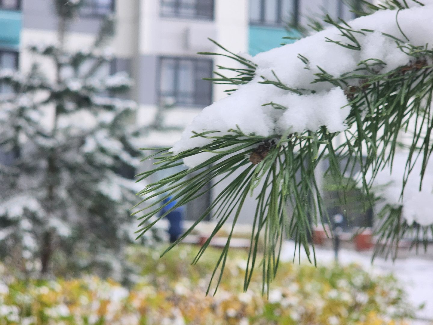 вертикалки, убирают снег,