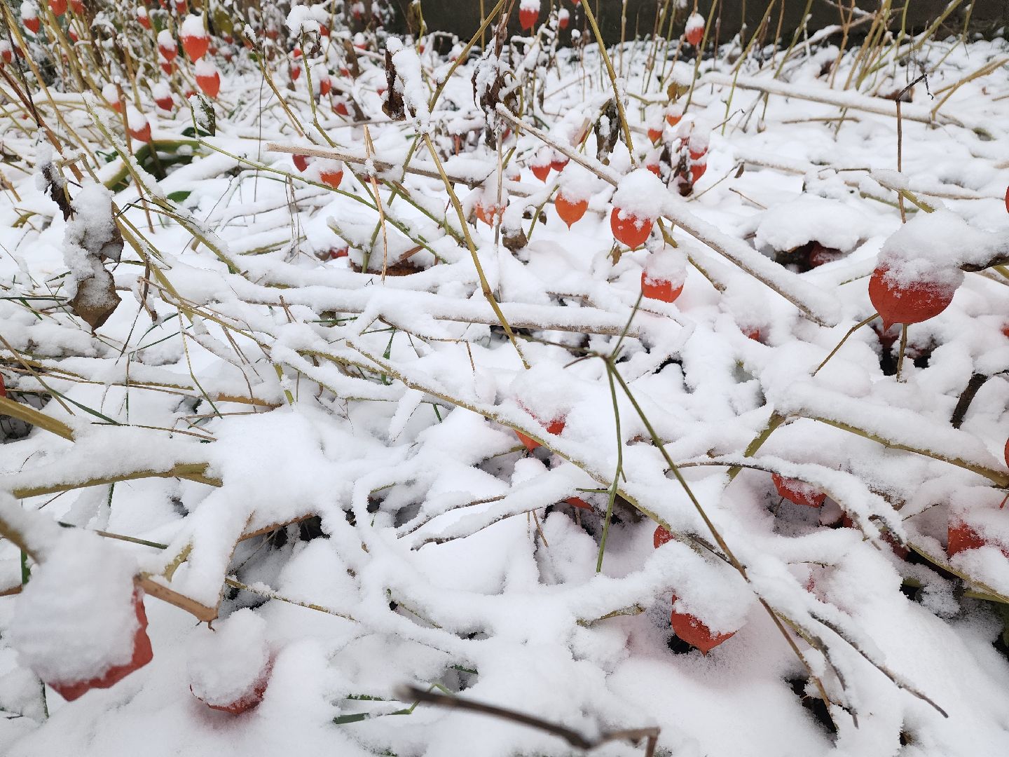 красноармейск, городской округ пушкинский, первый снег, уборка снега, вертикалки