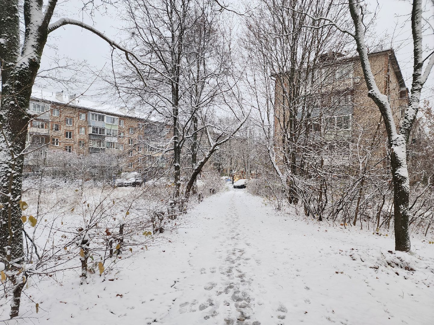 красноармейск, городской округ пушкинский, первый снег, уборка снега, вертикалки