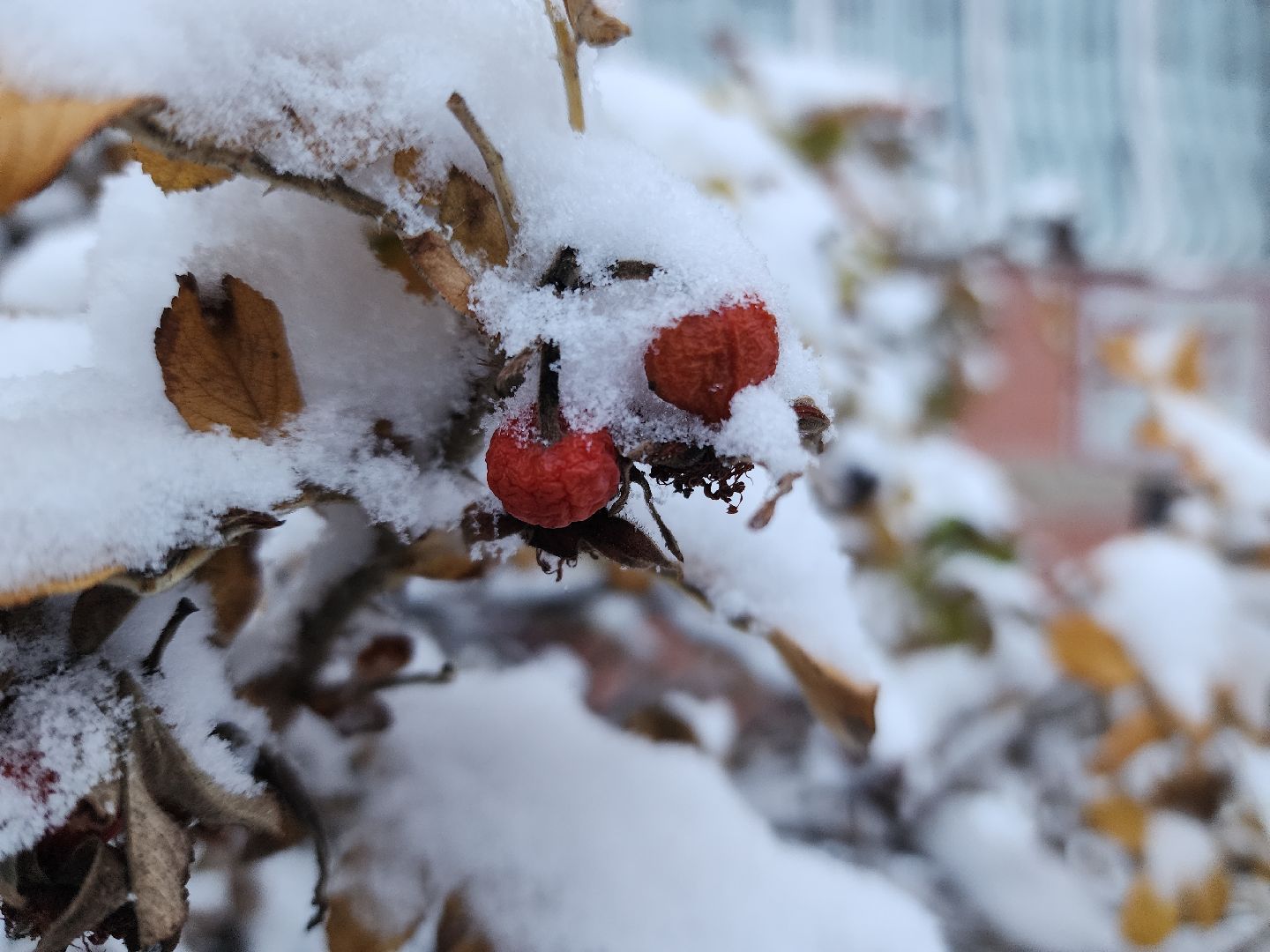 электросталь, первый снег, жкх, уборка снега, коммунальщики, коммунальные службы, коммунальные службы готовы к зиме, снегоуборочная техника, снегоуборочные машины, вертикалки